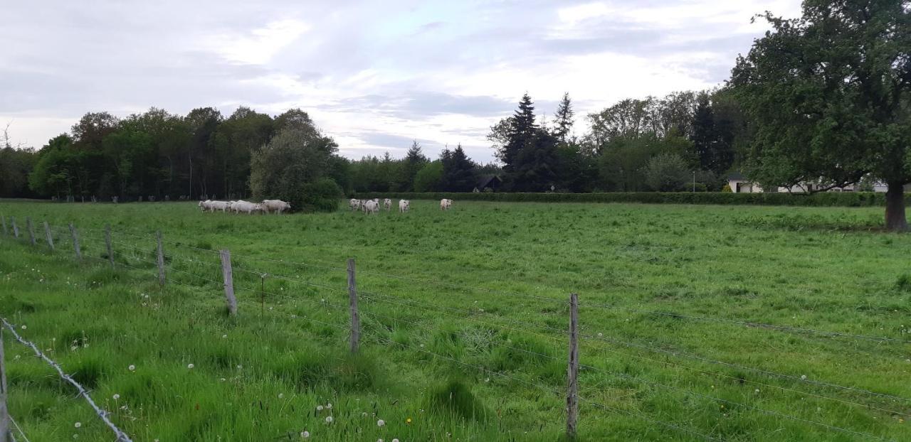 La Champetre Beaumesnil (Eure)